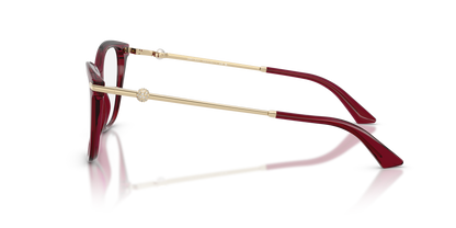 JIMMY CHOO JC3007HB 5062 52