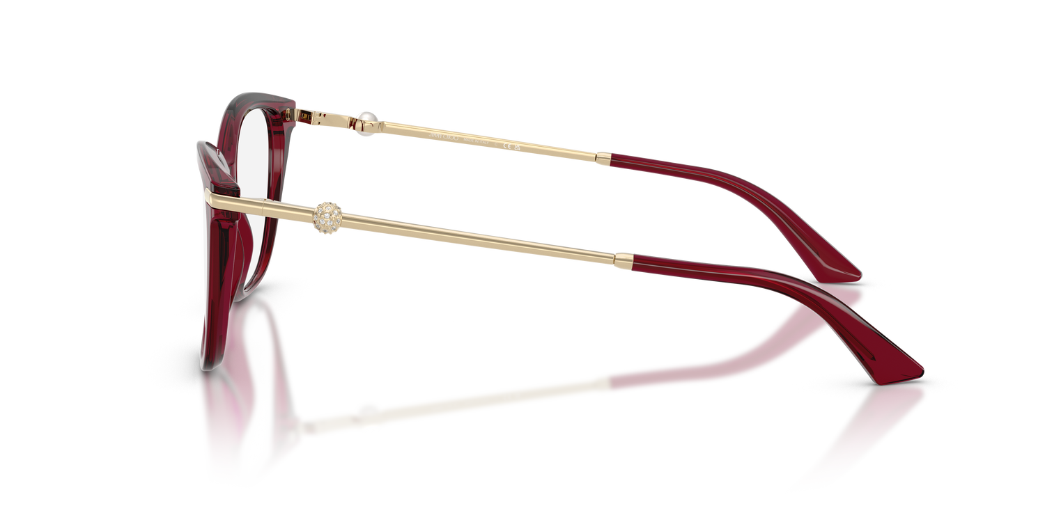 JIMMY CHOO JC3007HB 5062 54