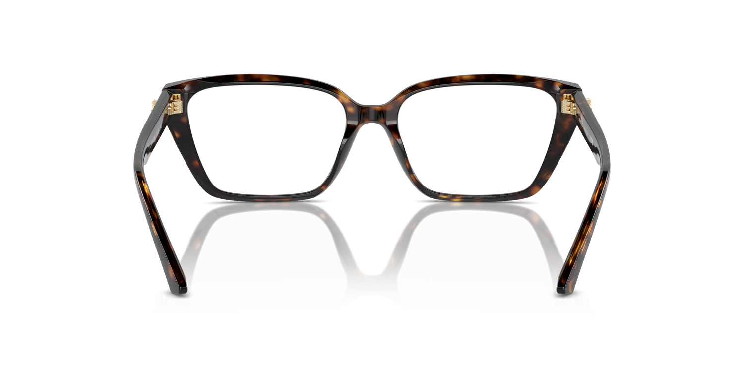 JIMMY CHOO JC3008 5002 55