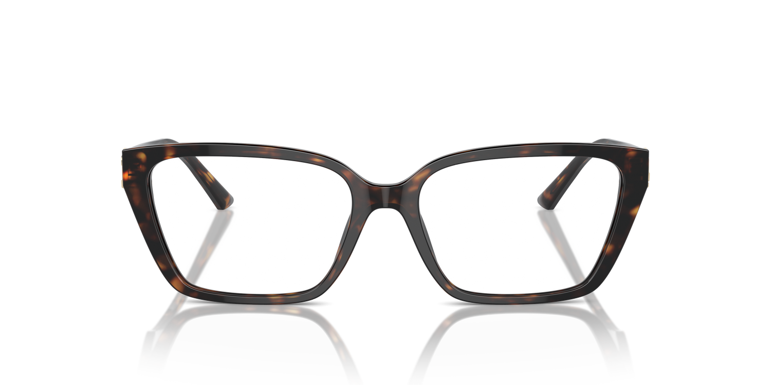 JIMMY CHOO JC3008 5002 55