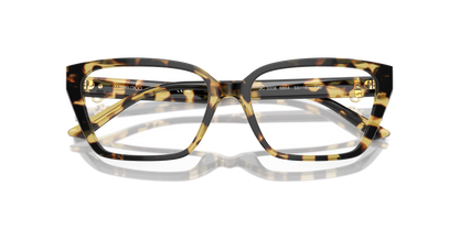 JIMMY CHOO JC3008 5004 55