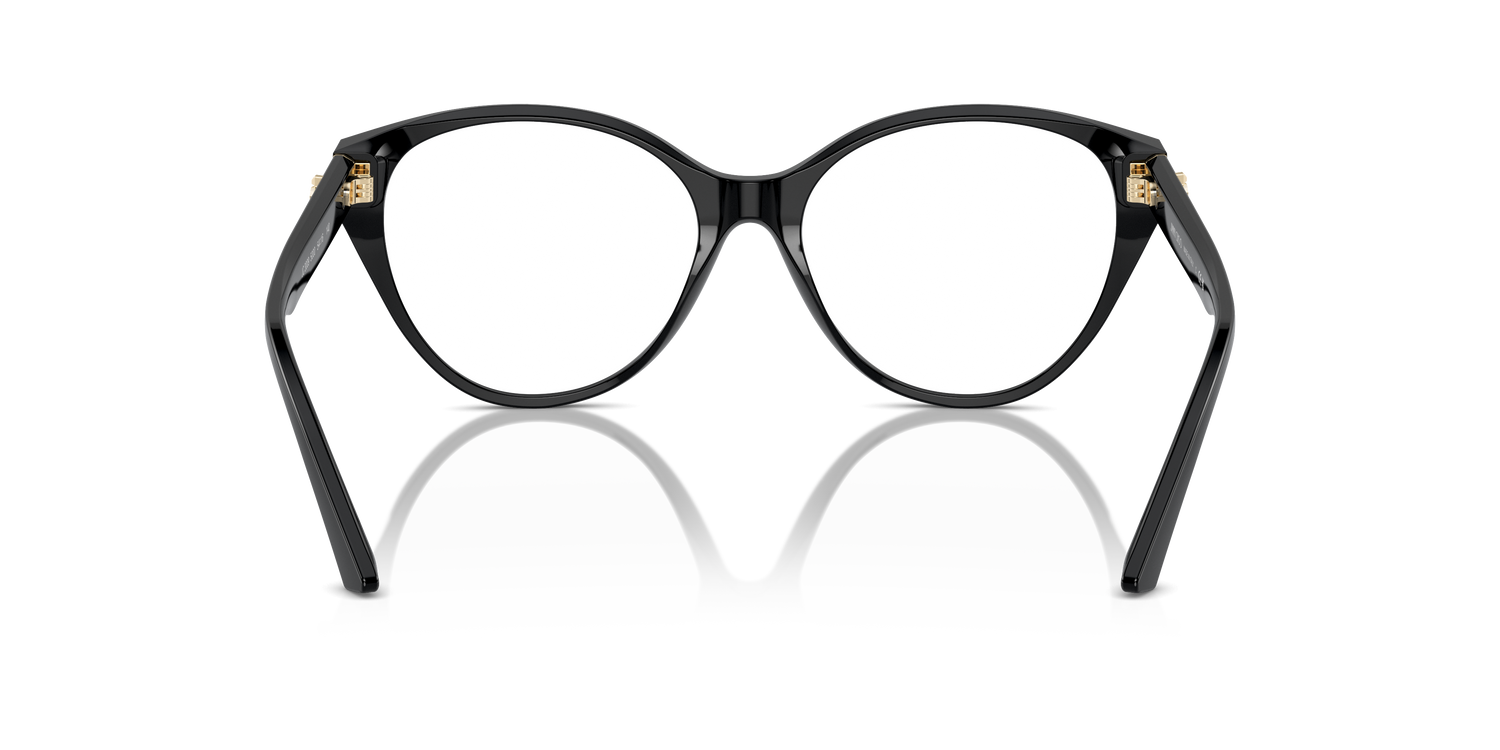 JIMMY CHOO JC3009 5000 54