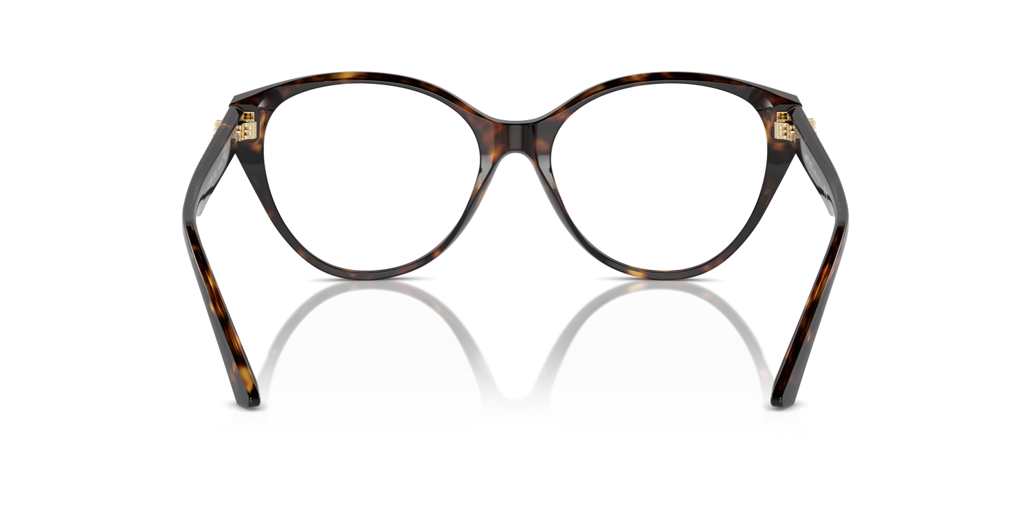 JIMMY CHOO JC3009 5002 52