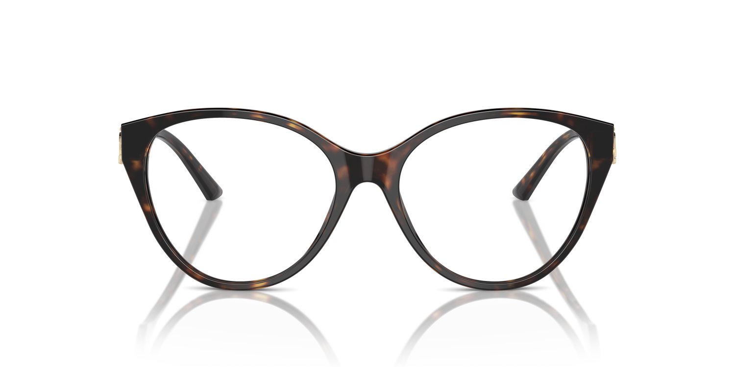 JIMMY CHOO JC3009 5002 52