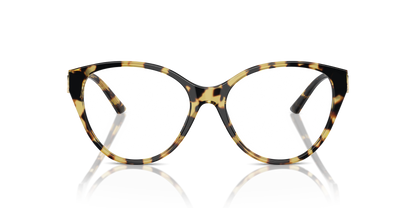 JIMMY CHOO JC3009 5004 54