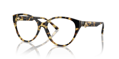 JIMMY CHOO JC3009 5004 52