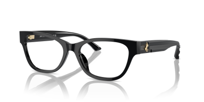 JIMMY CHOO JC3010U 5000 52