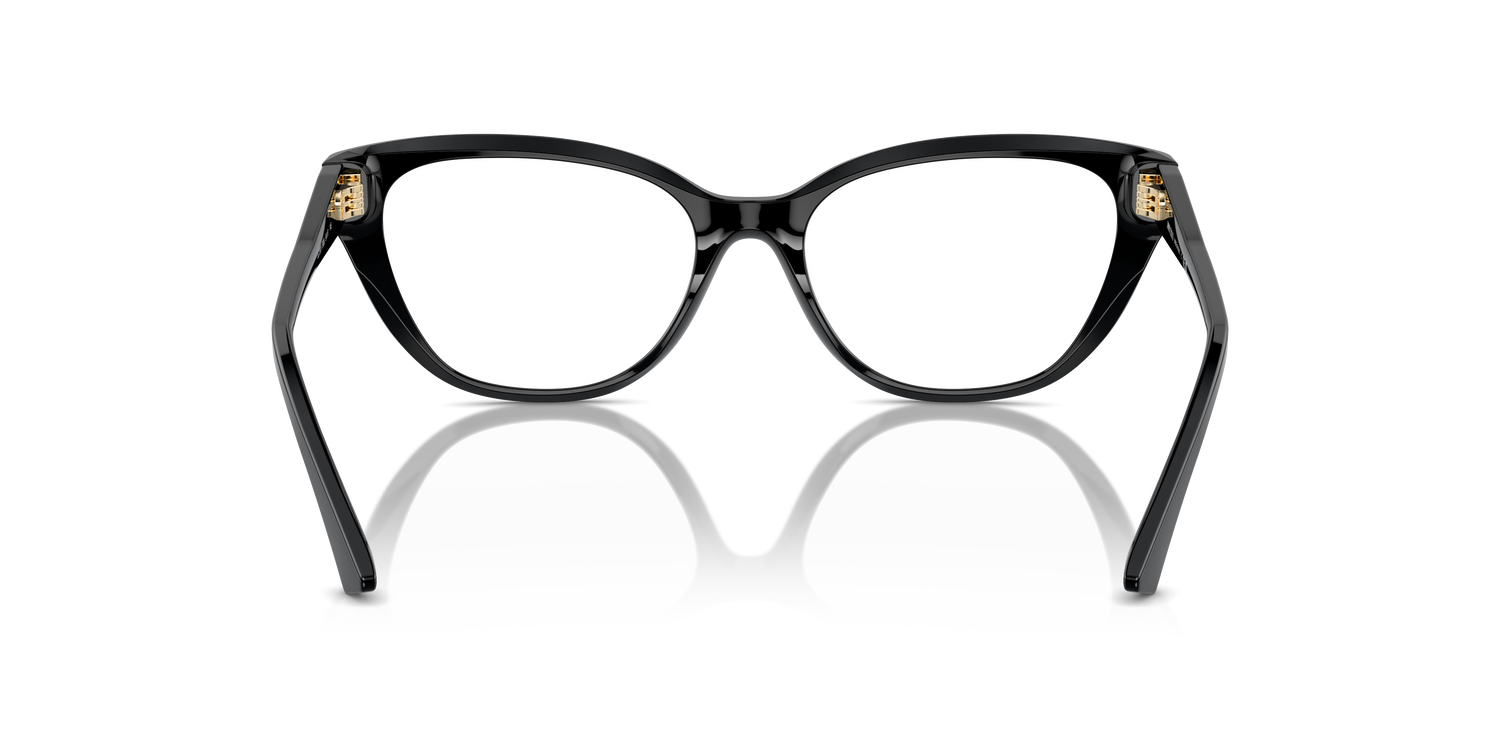 JIMMY CHOO JC3011 5000 54