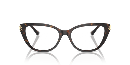 JIMMY CHOO JC3011 5002 52