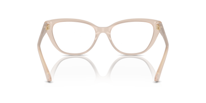 JIMMY CHOO JC3011 5025 52