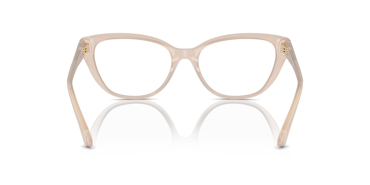 JIMMY CHOO JC3011 5025 54