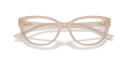 JIMMY CHOO JC3011 5025 52