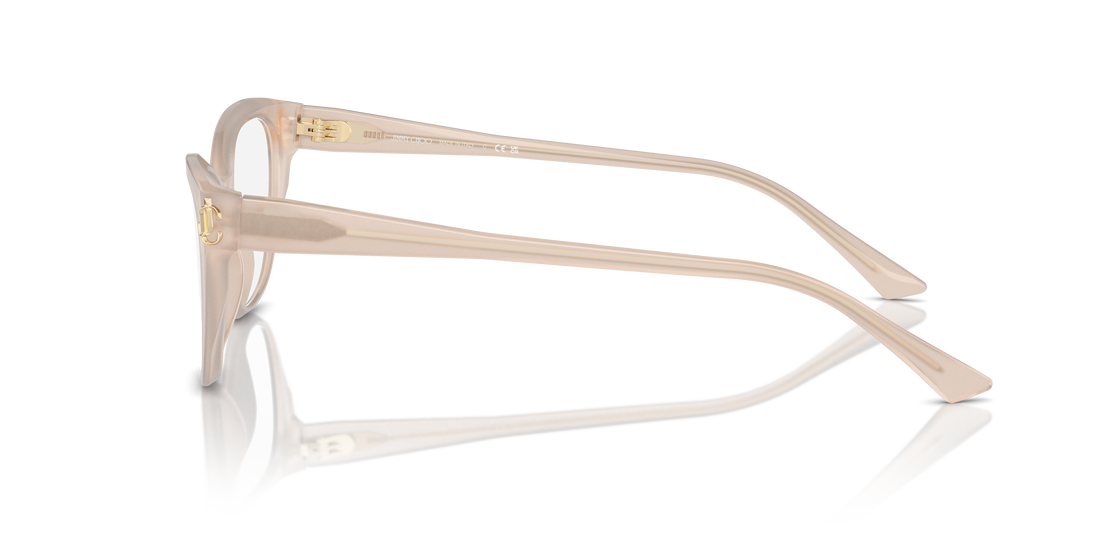 JIMMY CHOO JC3011 5025 52