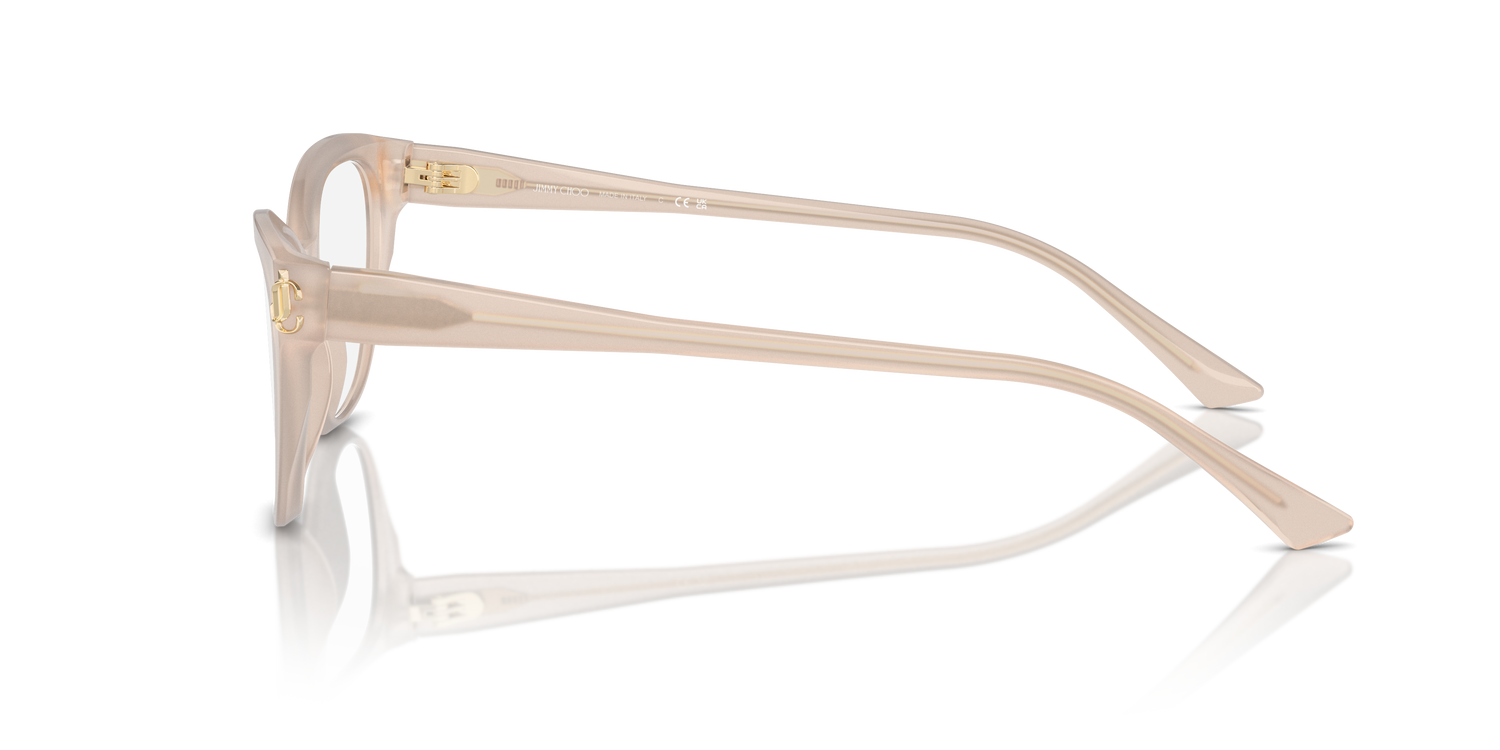 JIMMY CHOO JC3011 5025 52