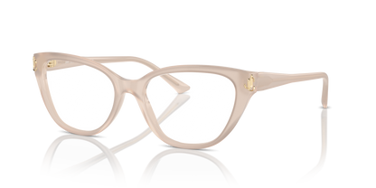 JIMMY CHOO JC3011 5025 54