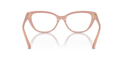 JIMMY CHOO JC3011 5027 54