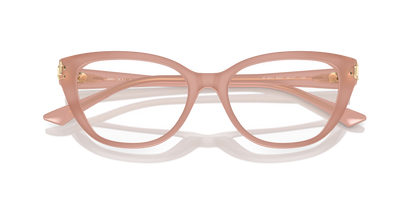 JIMMY CHOO JC3011 5027 52