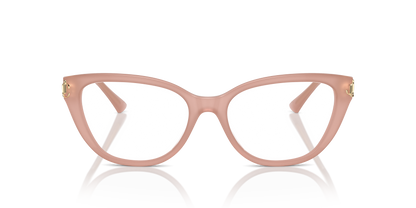 JIMMY CHOO JC3011 5027 52