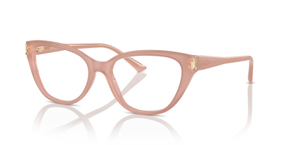 JIMMY CHOO JC3011 5027 54