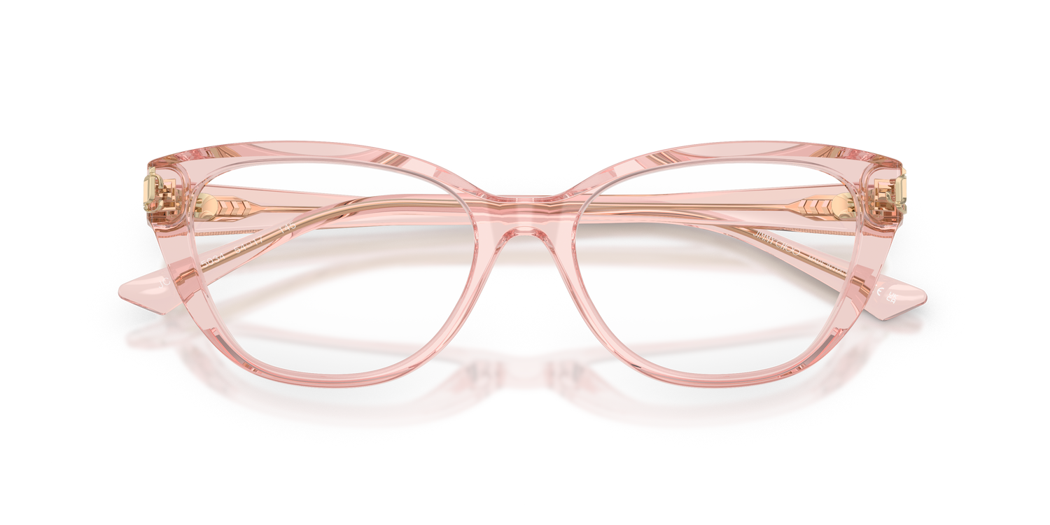 JIMMY CHOO JC3011 5034 54