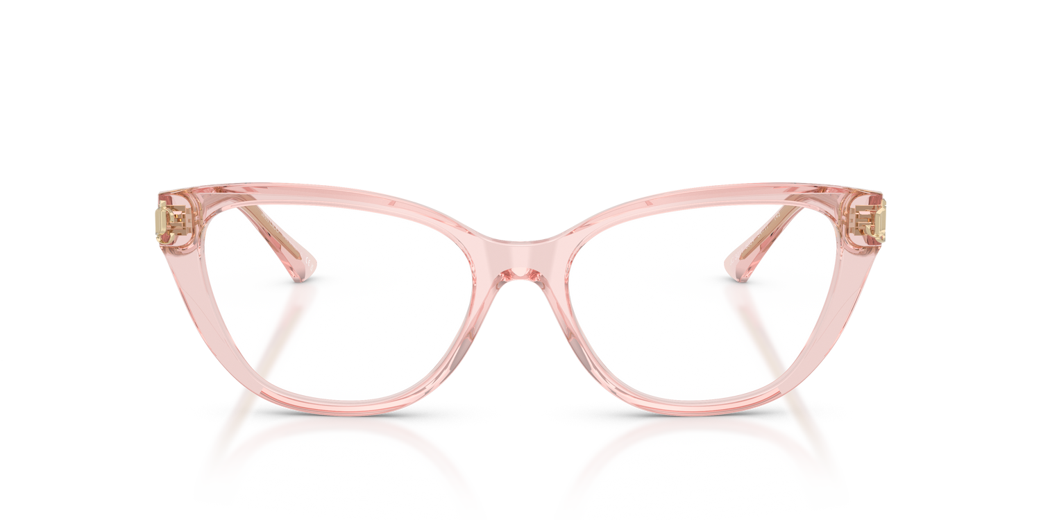JIMMY CHOO JC3011 5034 54