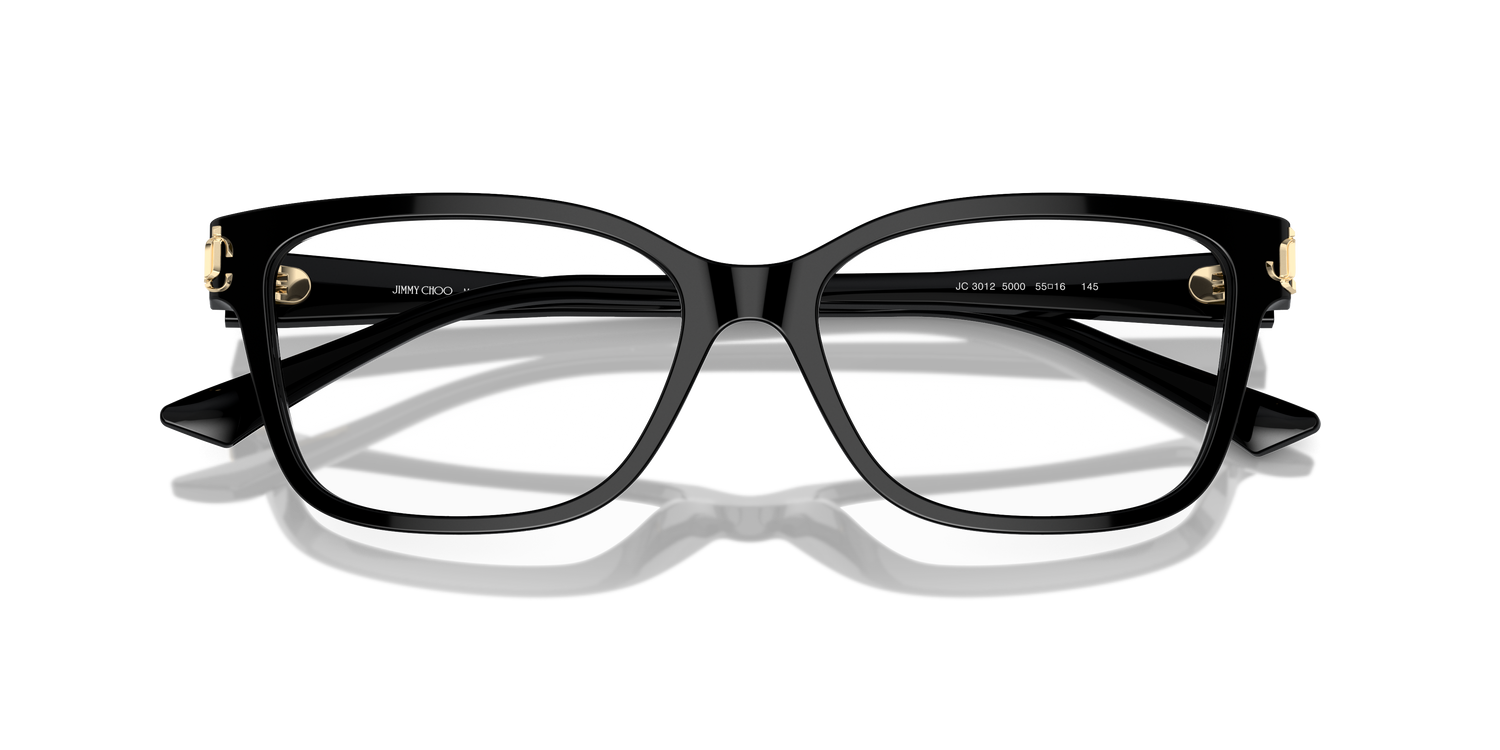 JIMMY CHOO JC3012 5000 55