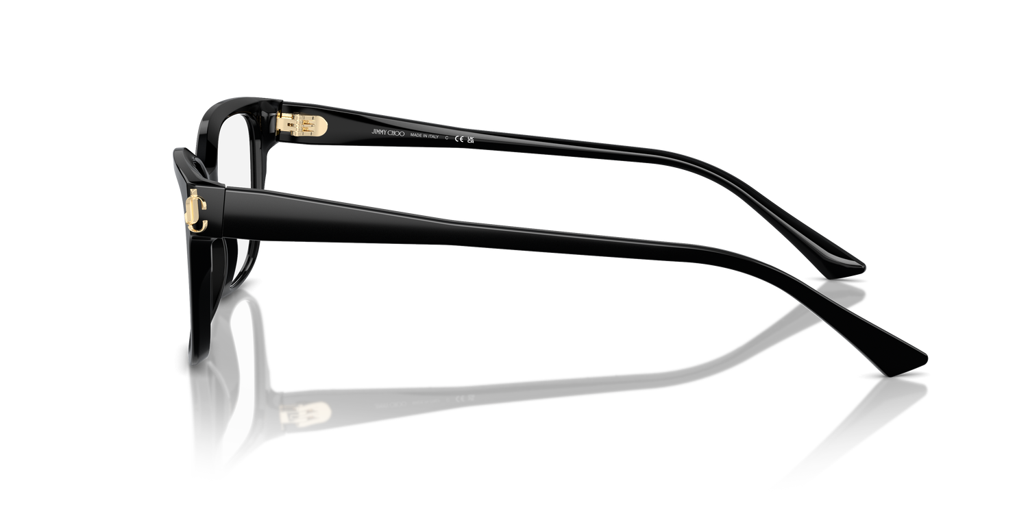 JIMMY CHOO JC3012 5000 53