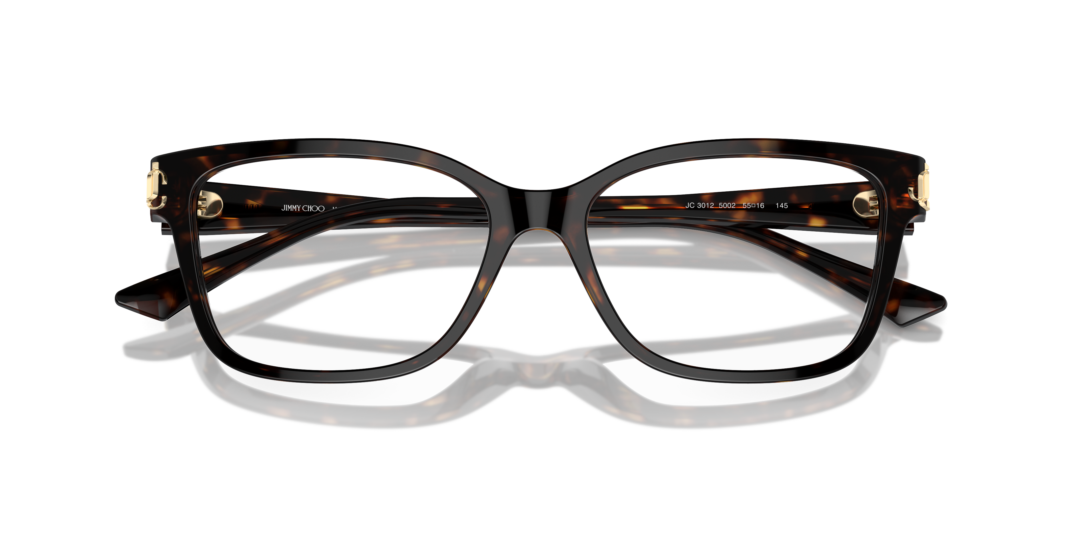 JIMMY CHOO JC3012 5002 55