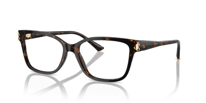 JIMMY CHOO JC3012 5002 53