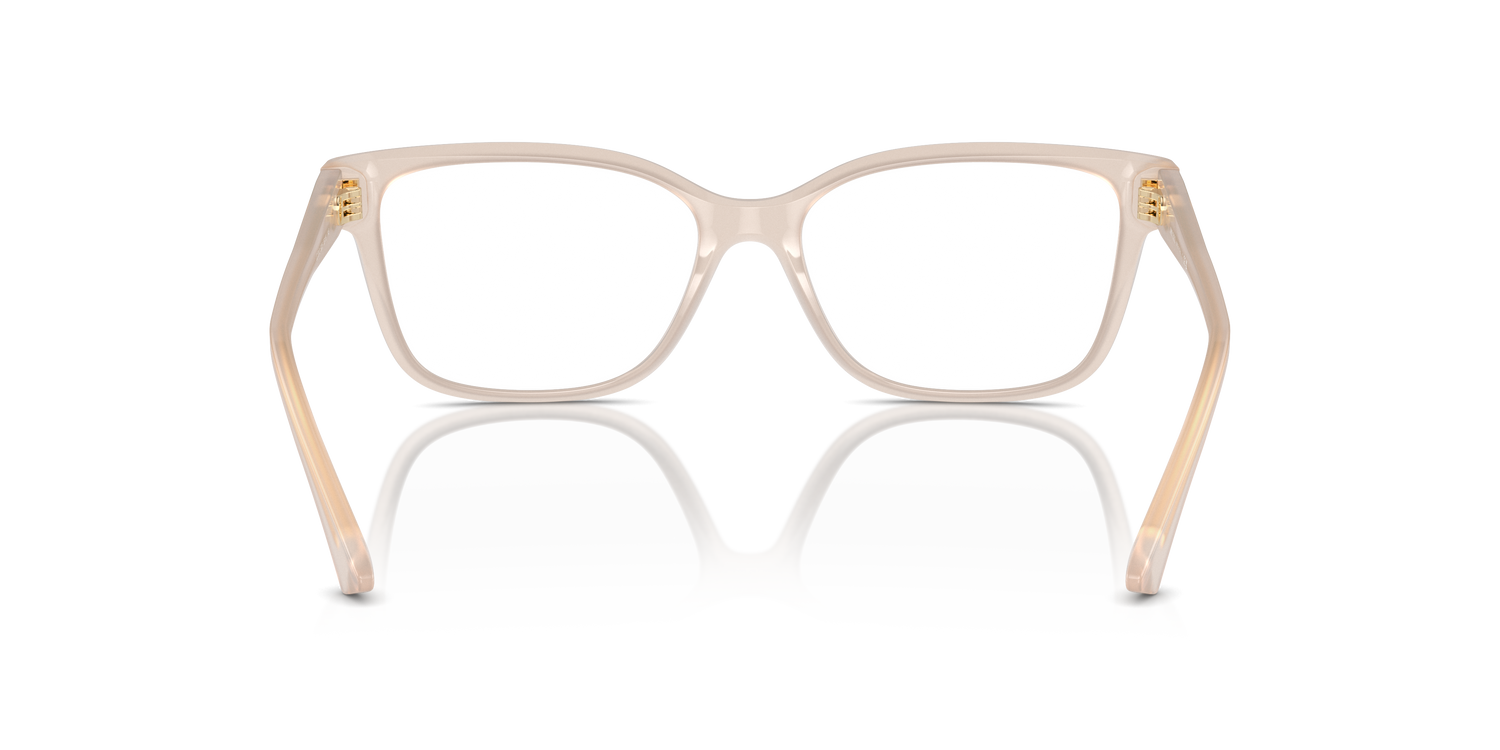 JIMMY CHOO JC3012 5025 53