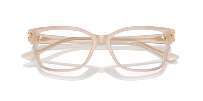 JIMMY CHOO JC3012 5025 53