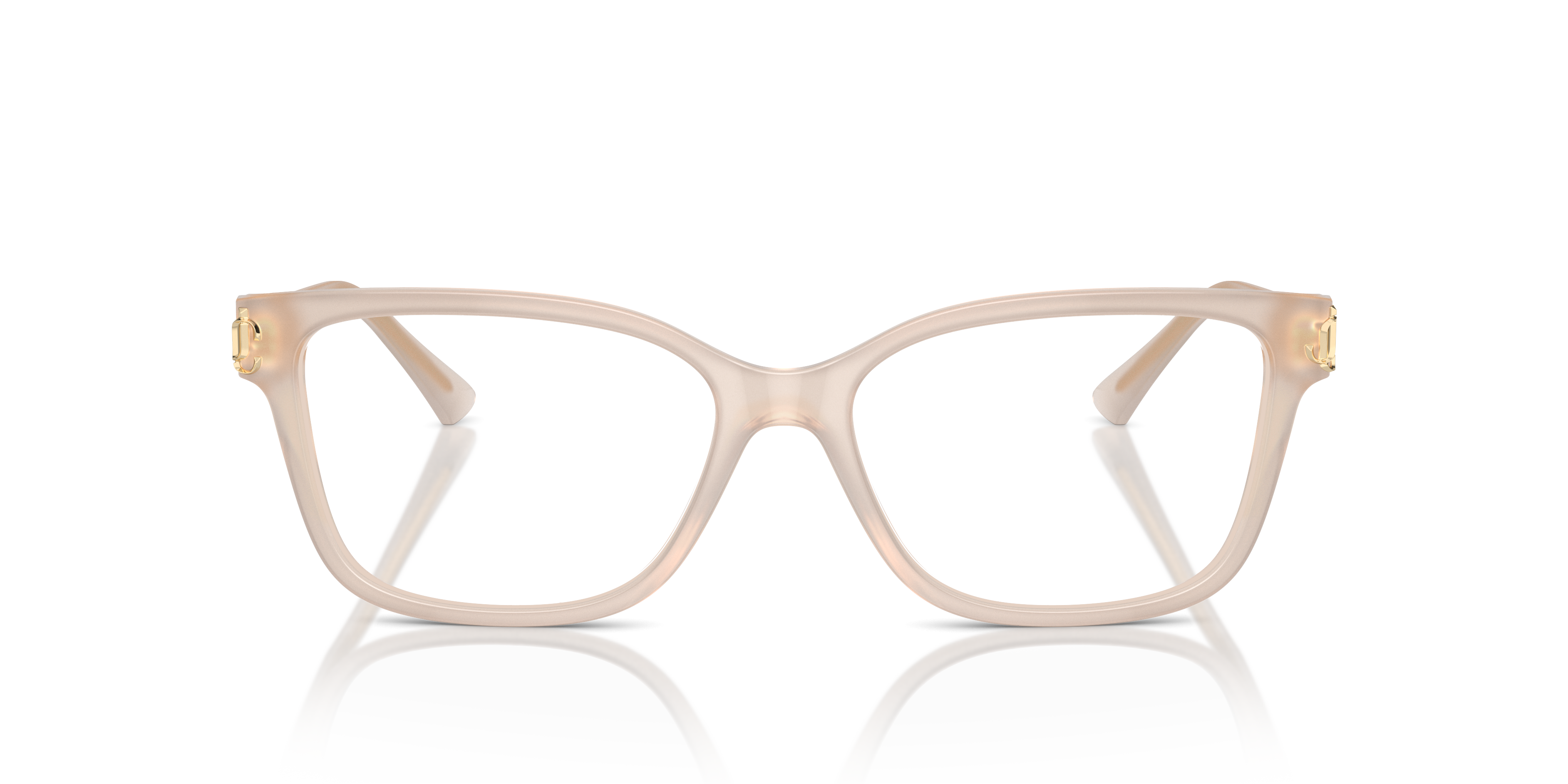 JIMMY CHOO JC3012 5025 55