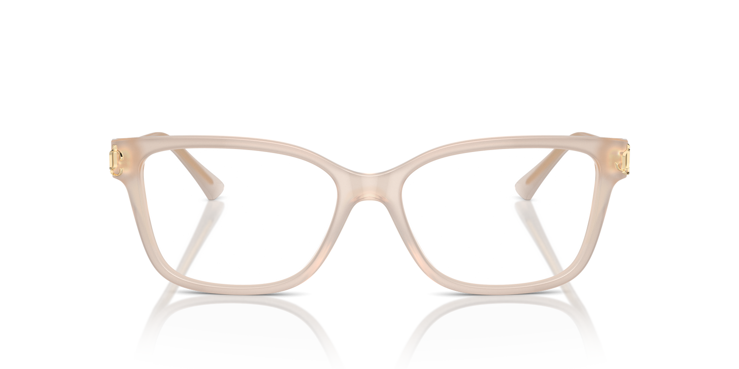 JIMMY CHOO JC3012 5025 53