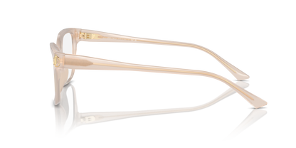 JIMMY CHOO JC3012 5025 55