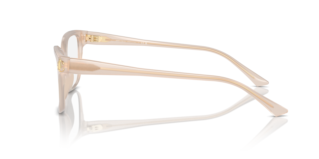 JIMMY CHOO JC3012 5025 53