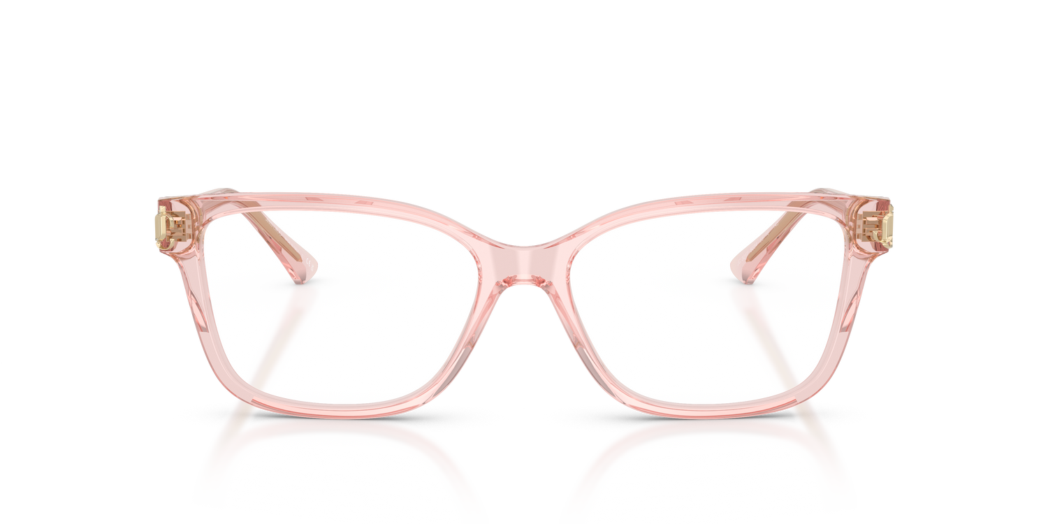JIMMY CHOO JC3012 5034 55