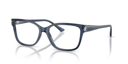 JIMMY CHOO JC3012 5035 53