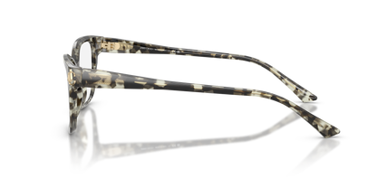 JIMMY CHOO JC3012 5068 55