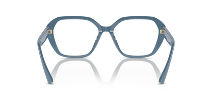 JIMMY CHOO JC3013U 5020 53