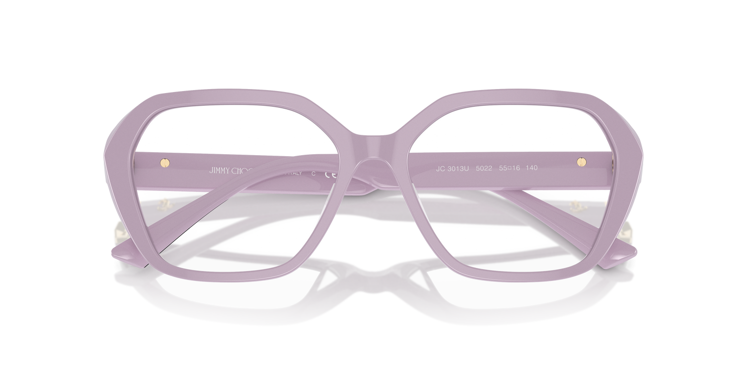 JIMMY CHOO JC3013U 5022 55