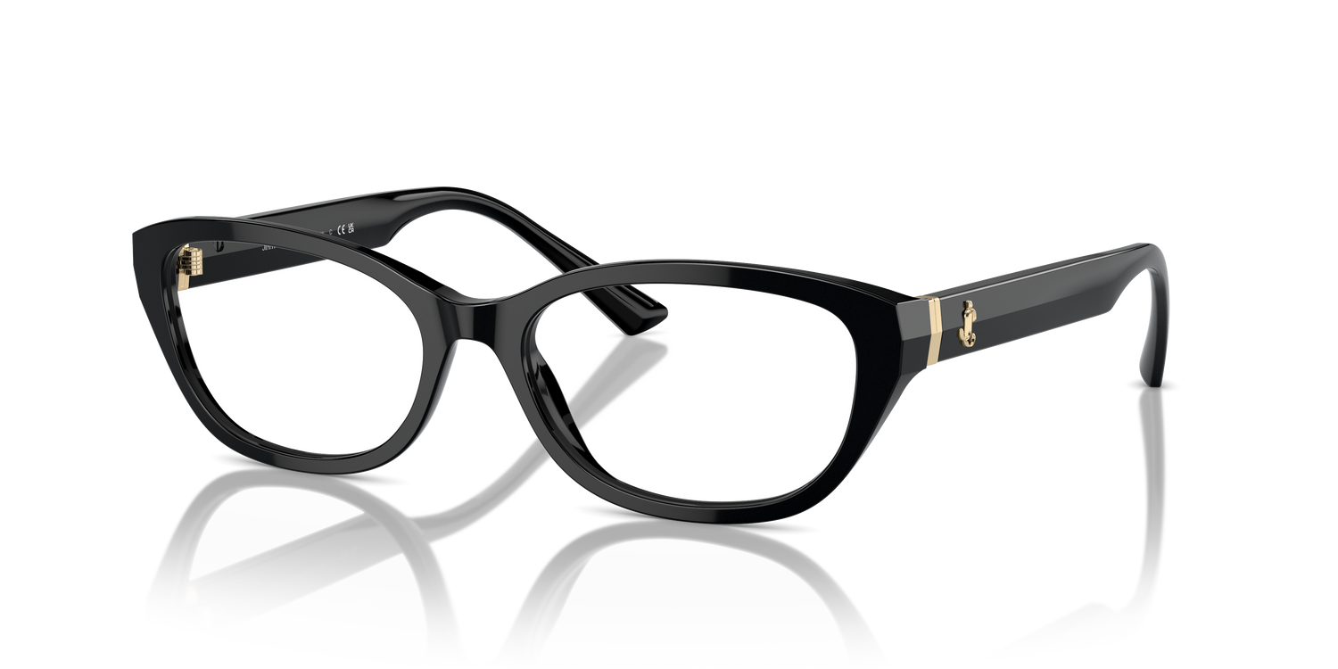 JIMMY CHOO JC3015 5000 55