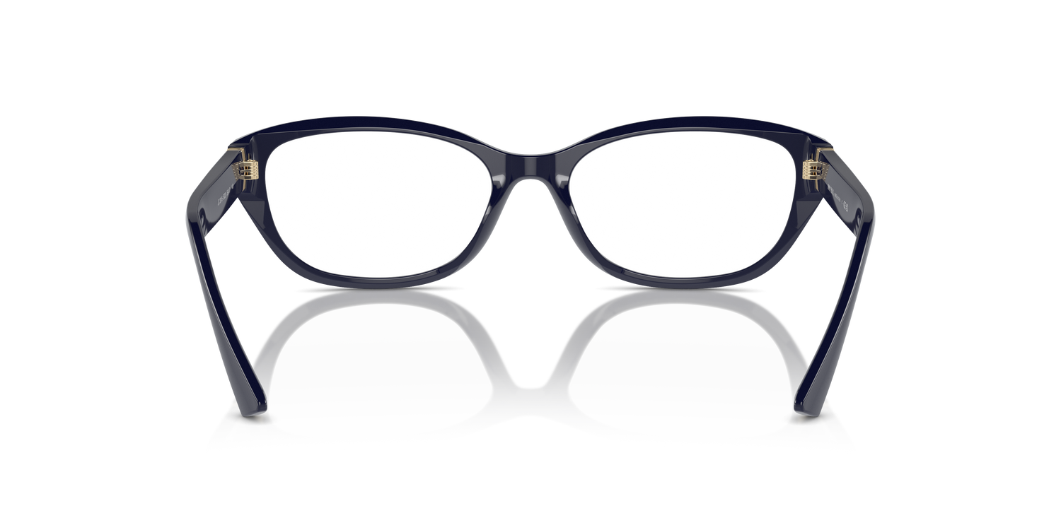 JIMMY CHOO JC3015 5023 55