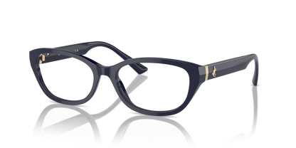 JIMMY CHOO JC3015 5023 53