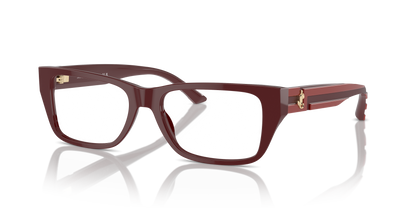 JIMMY CHOO JC3016 5013 54