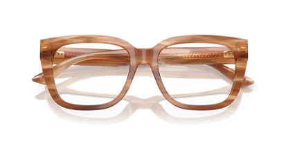 JIMMY CHOO JC3019B 5055 52