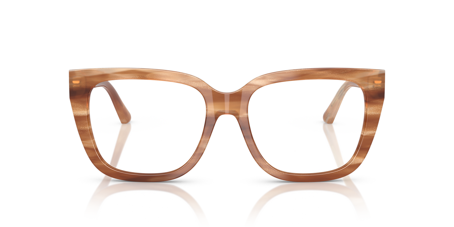 JIMMY CHOO JC3019B 5055 52