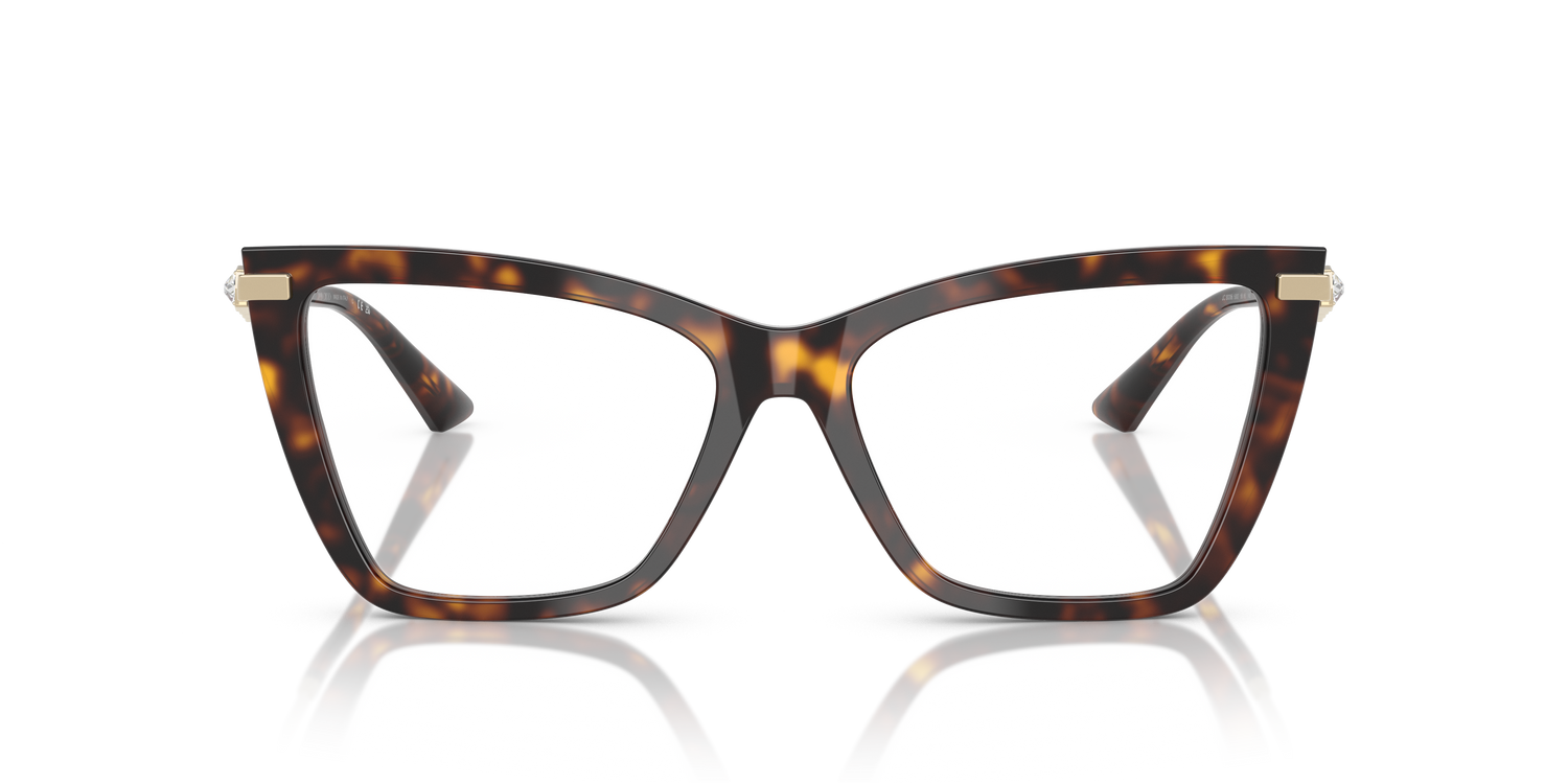 JIMMY CHOO JC3020B 5002 55