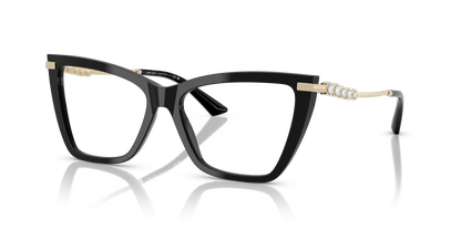 JIMMY CHOO JC3020B 5017 55