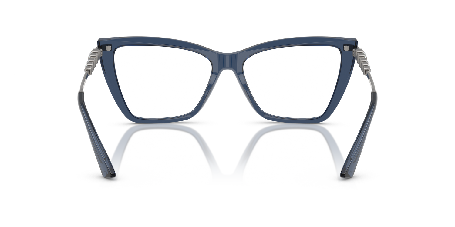 JIMMY CHOO JC3020B 5035 55