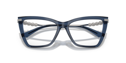 JIMMY CHOO JC3020B 5035 55